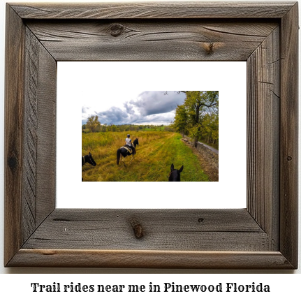 trail rides near me in Pinewood, Florida